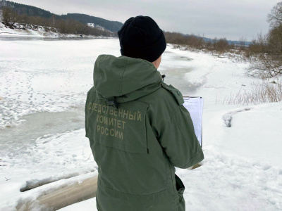 В Смоленске два мальчика провалились под лед на Днепре