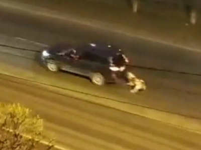 Женщина привязала к машине больную собаку и нажала на газ