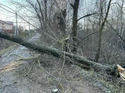 В Туле после урагана возникла большая проблема