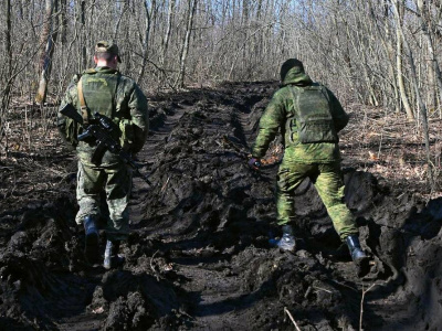 Волонтер рассказала, как спасали срочников в болотах Курской области