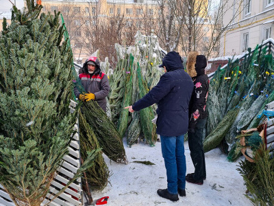 Ели, пихты и декор: в Москве открылись новогодние базары